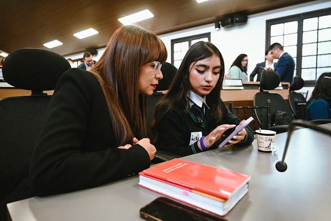 Una cabildante revisa documentos durante la sesión